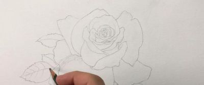 适合零基础学习，46步教你画一朵水彩红玫瑰 - 图画吧TUHUABA