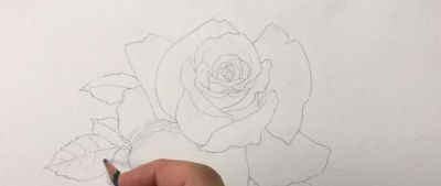 适合零基础学习，46步教你画一朵水彩红玫瑰 - 图画吧TUHUABA