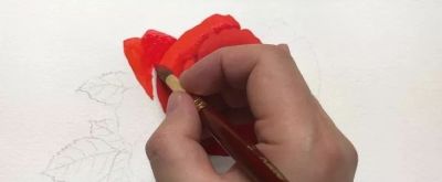 适合零基础学习，46步教你画一朵水彩红玫瑰 - 图画吧TUHUABA