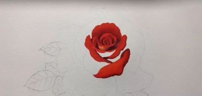 适合零基础学习，46步教你画一朵水彩红玫瑰 - 图画吧TUHUABA