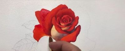 适合零基础学习，46步教你画一朵水彩红玫瑰 - 图画吧TUHUABA