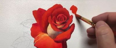 适合零基础学习，46步教你画一朵水彩红玫瑰 - 图画吧TUHUABA