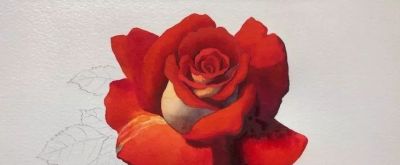 适合零基础学习，46步教你画一朵水彩红玫瑰 - 图画吧TUHUABA