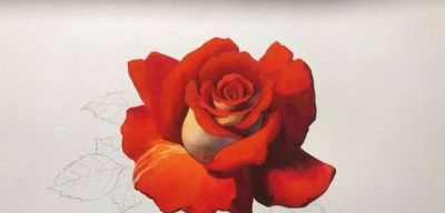 适合零基础学习，46步教你画一朵水彩红玫瑰 - 图画吧TUHUABA