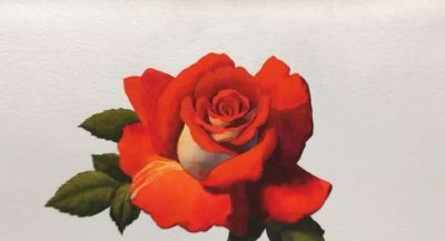 适合零基础学习，46步教你画一朵水彩红玫瑰 - 图画吧TUHUABA