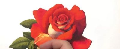 适合零基础学习，46步教你画一朵水彩红玫瑰 - 图画吧TUHUABA