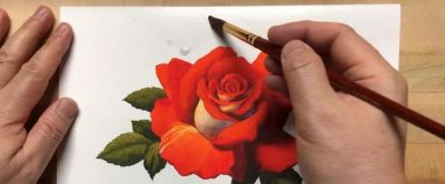 适合零基础学习，46步教你画一朵水彩红玫瑰 - 图画吧TUHUABA