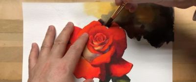 适合零基础学习，46步教你画一朵水彩红玫瑰 - 图画吧TUHUABA