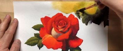 适合零基础学习，46步教你画一朵水彩红玫瑰 - 图画吧TUHUABA
