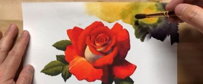 适合零基础学习，46步教你画一朵水彩红玫瑰 - 图画吧TUHUABA