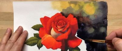 适合零基础学习，46步教你画一朵水彩红玫瑰 - 图画吧TUHUABA