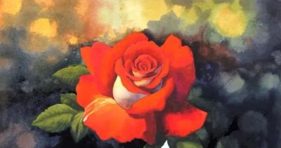 适合零基础学习，46步教你画一朵水彩红玫瑰 - 图画吧TUHUABA