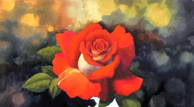 适合零基础学习，46步教你画一朵水彩红玫瑰 - 图画吧TUHUABA