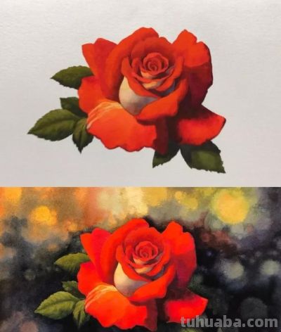 适合零基础学习，46步教你画一朵水彩红玫瑰 - 图画吧TUHUABA