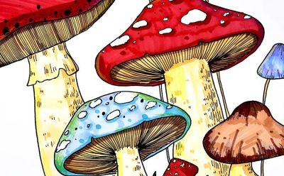 儿童画教程｜水彩笔绘画课程《一丛五彩的小蘑菇》 - 图画吧TUHUABA