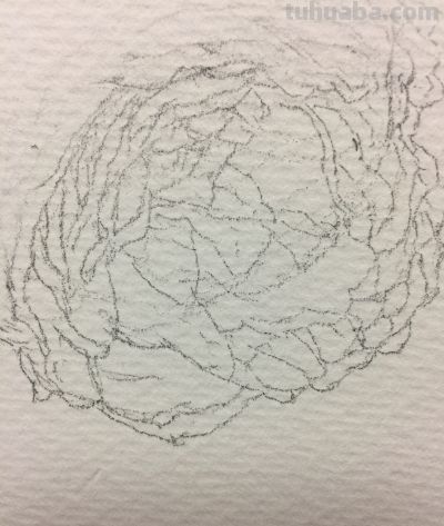 超详细水彩步骤图，33步教你画水彩英伦玫瑰花 - 今日头条