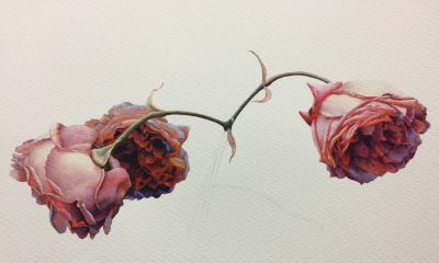 超详细水彩步骤图，33步教你画水彩英伦玫瑰花 - 图画吧TUHUABA