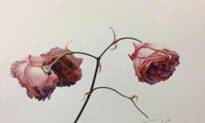 超详细水彩步骤图，33步教你画水彩英伦玫瑰花 - 图画吧TUHUABA