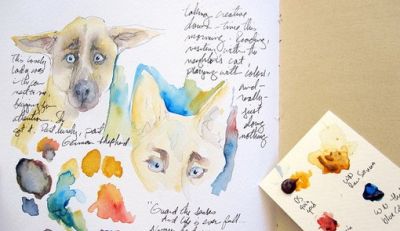 美国自由水彩画家Cathy Johnson的手绘本 - 图画吧TUHUABA