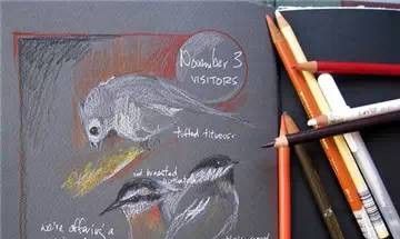 美国自由水彩画家Cathy Johnson的手绘本 - 图画吧TUHUABA