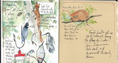 美国自由水彩画家Cathy Johnson的手绘本 - 图画吧TUHUABA