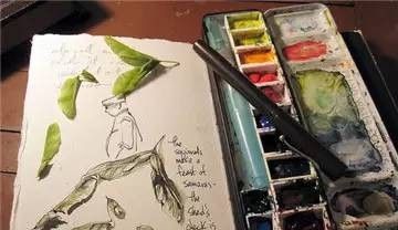 美国自由水彩画家Cathy Johnson的手绘本 - 图画吧TUHUABA