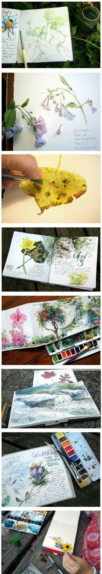 美国自由水彩画家Cathy Johnson的手绘本 - 图画吧TUHUABA