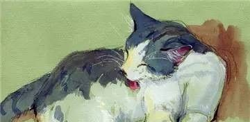 美国自由水彩画家Cathy Johnson的手绘本 - 图画吧TUHUABA