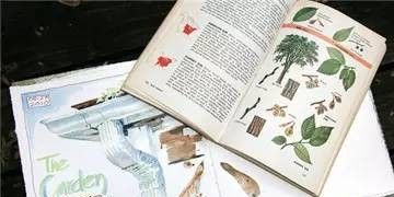 美国自由水彩画家Cathy Johnson的手绘本 - 图画吧TUHUABA