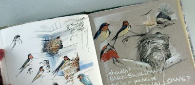 美国自由水彩画家Cathy Johnson的手绘本 - 图画吧TUHUABA