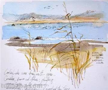 美国自由水彩画家Cathy Johnson的手绘本 - 图画吧TUHUABA