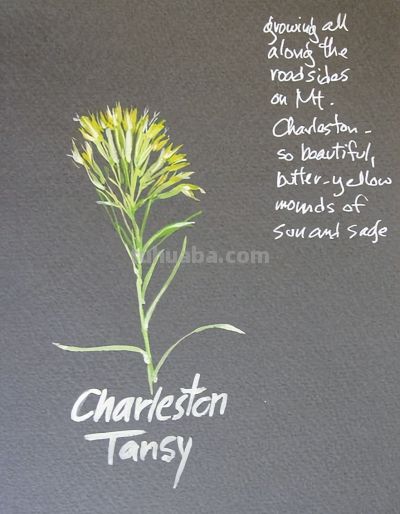 美国自由水彩画家Cathy Johnson的手绘本 - 图画吧TUHUABA