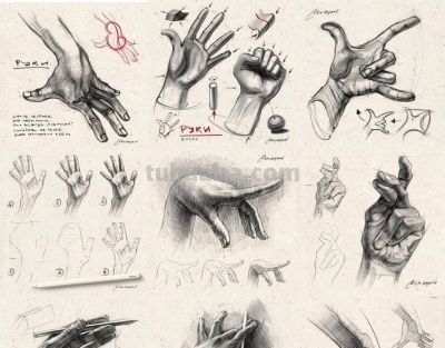 俄罗斯素描老师，素描教学干货 - 图画吧TUHUABA