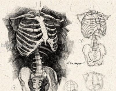 俄罗斯素描老师，素描教学干货 - 图画吧TUHUABA