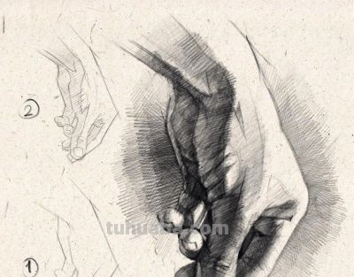 俄罗斯素描老师，素描教学干货 - 图画吧TUHUABA