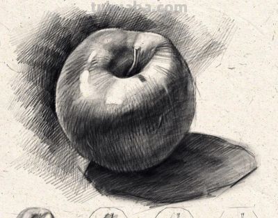 俄罗斯素描老师，素描教学干货 - 图画吧TUHUABA