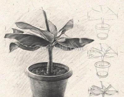 俄罗斯素描老师，素描教学干货 - 图画吧TUHUABA