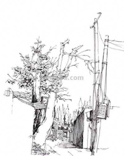 速写中有哪几种线条组成? - 今日头条