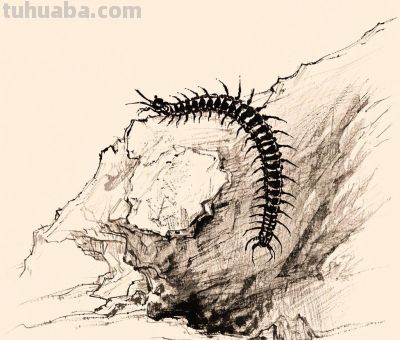 钢笔画,速写素描丨石崖上的风景 - 今日头条 钢笔画,速写素描丨石崖上的风景 - 图画吧TUHUABA