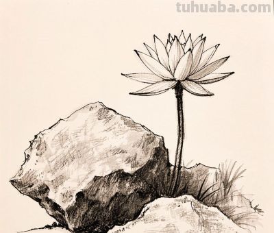 钢笔画,速写素描丨石崖上的风景 - 今日头条 钢笔画,速写素描丨石崖上的风景 - 图画吧TUHUABA