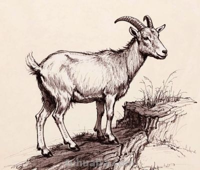 钢笔画,速写素描丨石崖上的风景 - 今日头条 钢笔画,速写素描丨石崖上的风景 - 图画吧TUHUABA