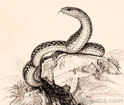 钢笔画,速写素描丨石崖上的风景 - 今日头条 钢笔画,速写素描丨石崖上的风景 - 图画吧TUHUABA