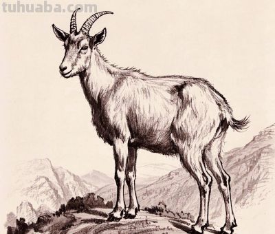 钢笔画,速写素描丨石崖上的风景 - 今日头条 钢笔画,速写素描丨石崖上的风景 - 图画吧TUHUABA