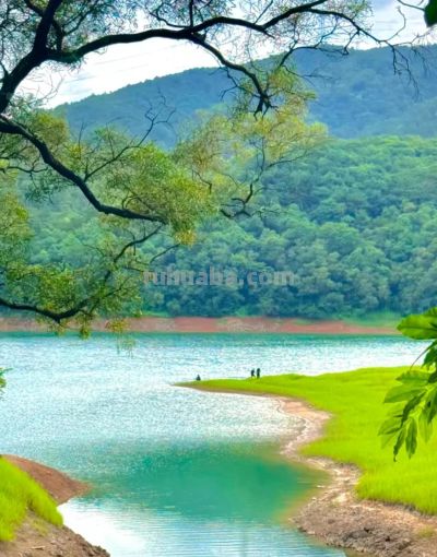 厦门Color Walk！清明踏青解锁7种色彩~ - 图画吧TUHUABA