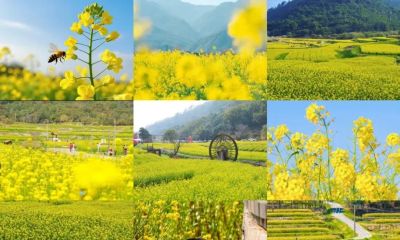 厦门Color Walk！清明踏青解锁7种色彩~ - 图画吧TUHUABA