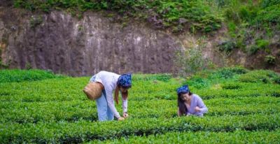 厦门Color Walk！清明踏青解锁7种色彩~ - 图画吧TUHUABA
