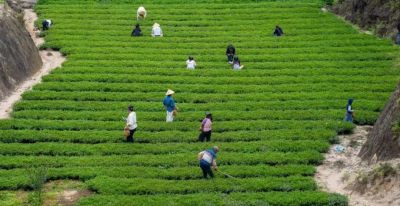 厦门Color Walk！清明踏青解锁7种色彩~ - 图画吧TUHUABA