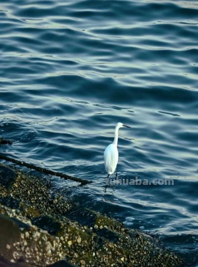 厦门Color Walk！清明踏青解锁7种色彩~ - 图画吧TUHUABA