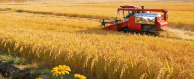 “画面感"写作36招之六：色彩渲染，以色调氛围定基调 - 图画吧TUHUABA