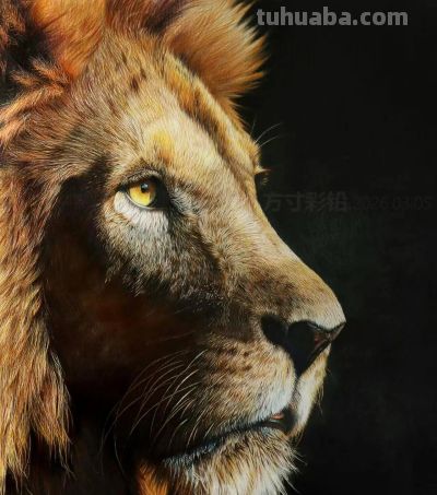 幸福原创画吧2026年第九期画友作品分享 - 图画吧TUHUABA